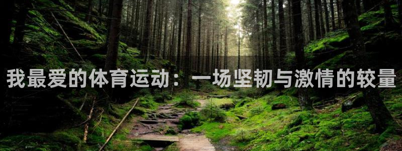 意昂32代理注册：我最爱的体育运动：一场坚韧与激情的较量