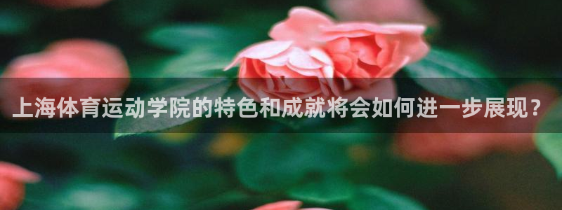 意昂3电子有限公司：上海体育运动学院的特色和成就将会如何进一步展现？