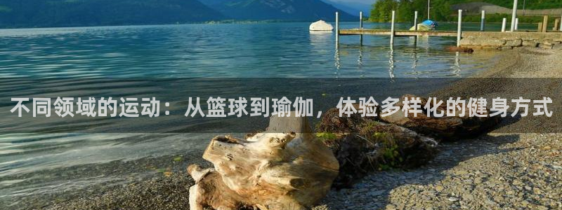 意昂3：不同领域的运动：从篮球到瑜伽，体验多样化的健身方式