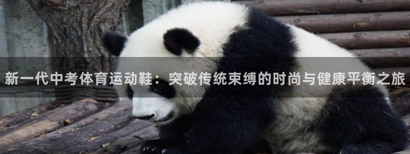 意昂3平台注册入口：新一代中考体育运动鞋：突破传统束缚的时尚与健康平衡之旅