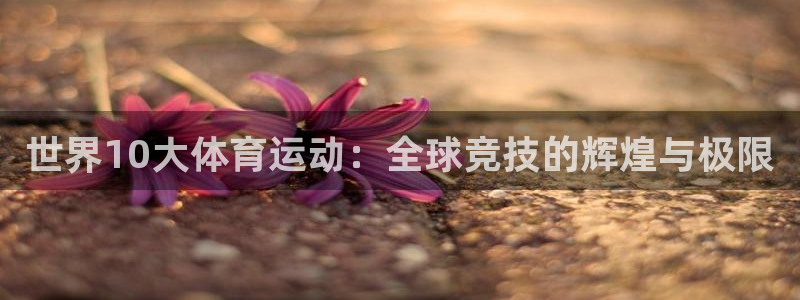 意昂3f凯捷平台在线注册：世界10大体育运动：全球竞技的辉煌与极限