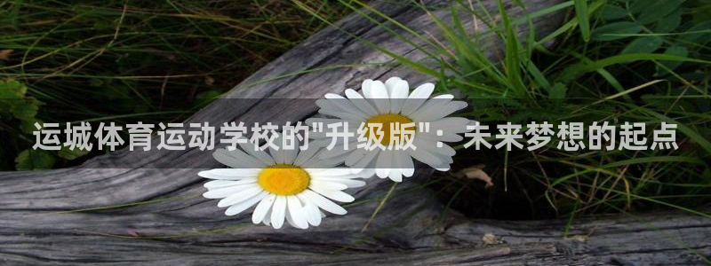 意昂3能源：运城体育运动学校的\