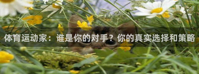 意昂3体育：体育运动家：谁是你的对手？你的真实选择和策略
