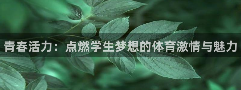 意昂3体育论坛：青春活力：点燃学生梦想的体育激情与魅力