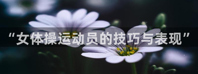 意昂3f凯捷平台在线注册：“女体操运动员的技巧与表现”