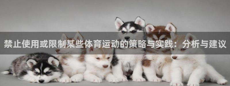 上海意昂3汽车电子有限公司：禁止使用或限制某些体育运动的策略与实践：分析与建议