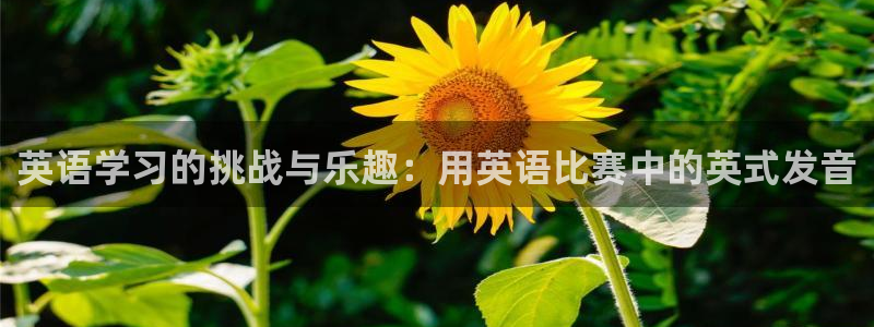 意昂3体育平台注册：英语学习的挑战与乐趣：用英语比赛中的英式发音