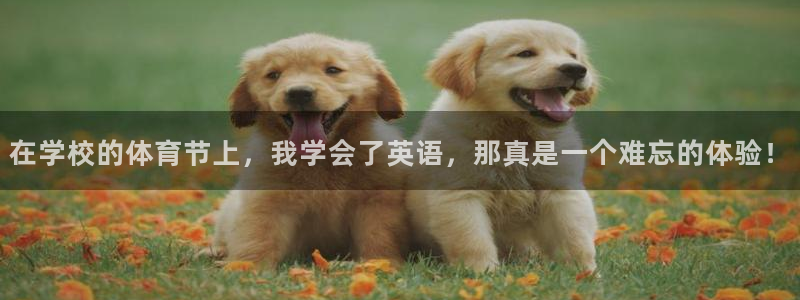 意昂34代理：在学校的体育节上，我学会了英语，那真是一个难忘的体验！