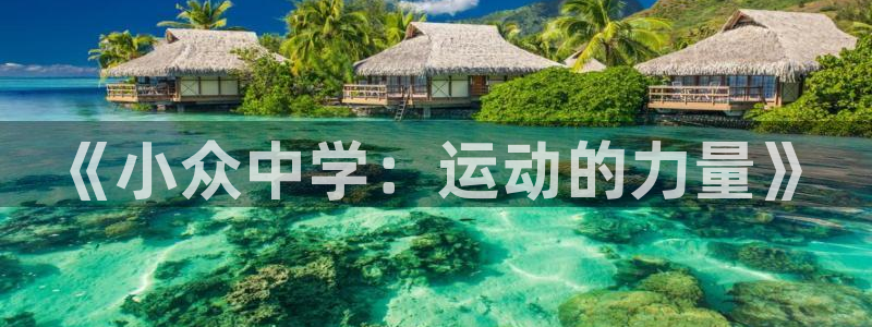 意昂3体育合法嘛：《小众中学：运动的力量》