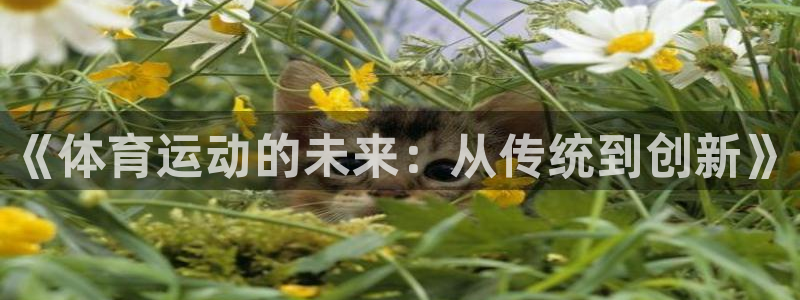 意昂3体育官网注册：《体育运动的未来：从传统到创新》